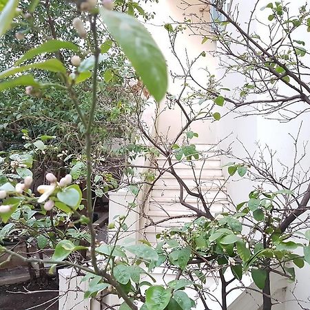 Errathens Aegean Apartment - Athens Center, 5 Bd, 2 Bath Zewnętrze zdjęcie