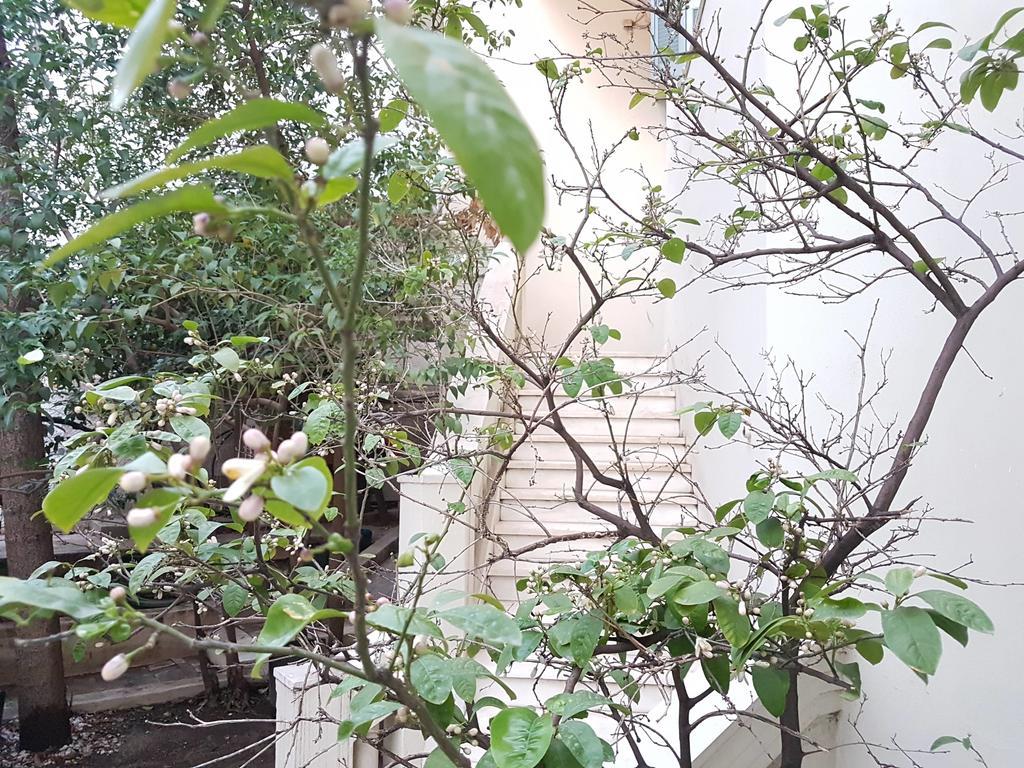 Errathens Aegean Apartment - Athens Center, 5 Bd, 2 Bath Zewnętrze zdjęcie